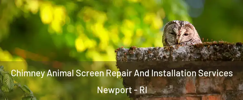  Chimney Animal Screen Repair And Installation Services Newport - RI