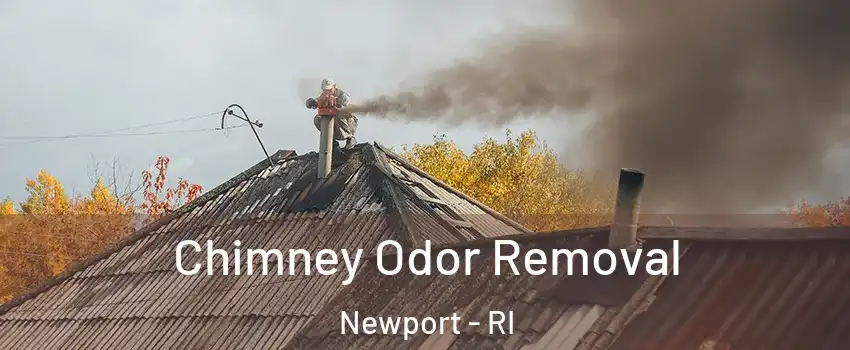  Chimney Odor Removal Newport - RI
